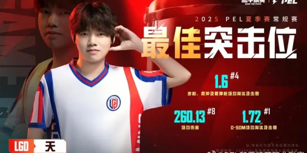 2025PEL夏季赛常规赛最佳阵容：天/青稚/Suk/派大兴